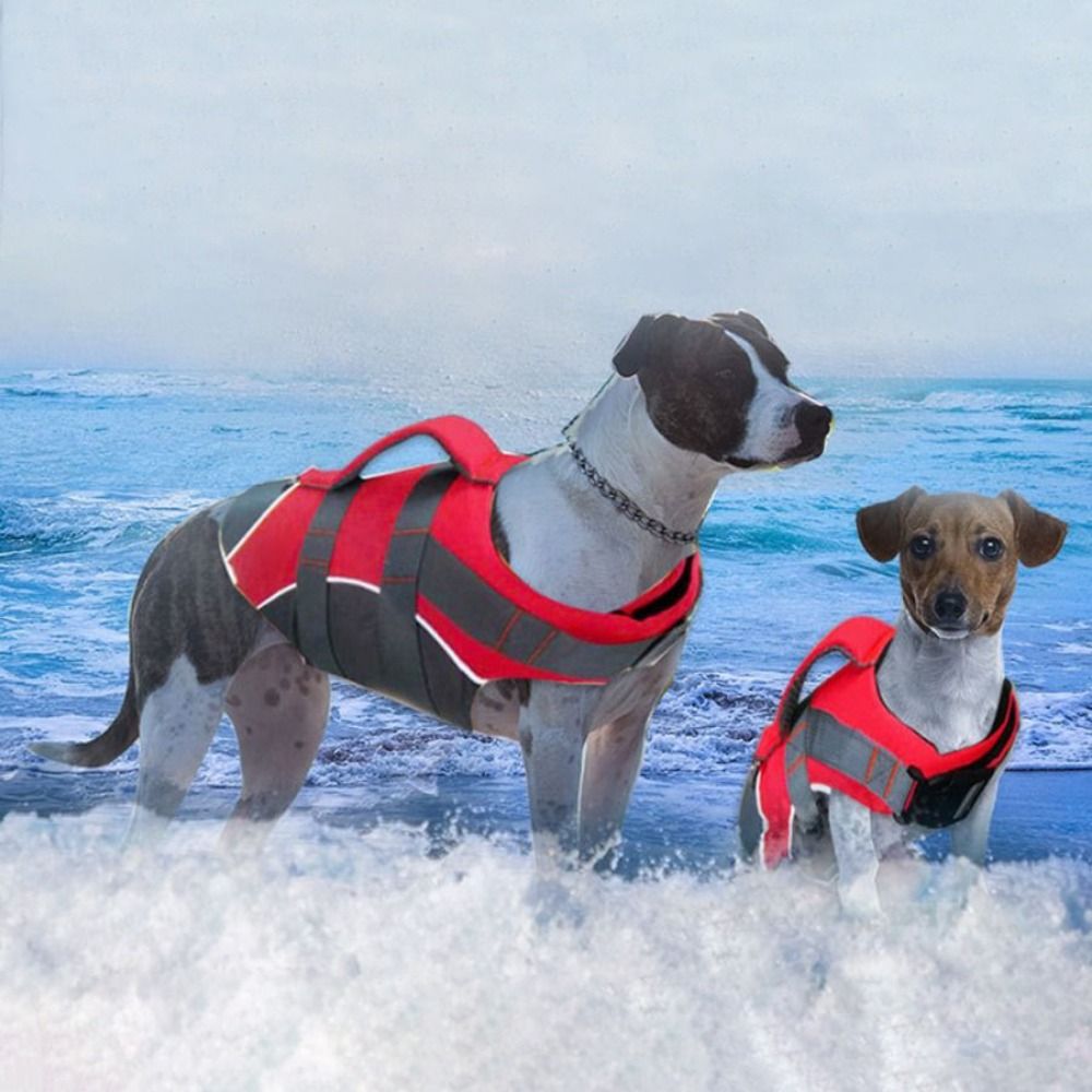 Reflective Dog Life Jacket Bre - Life Jacket Buoyancy ulasan dan harga